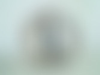 Progettista Culturale