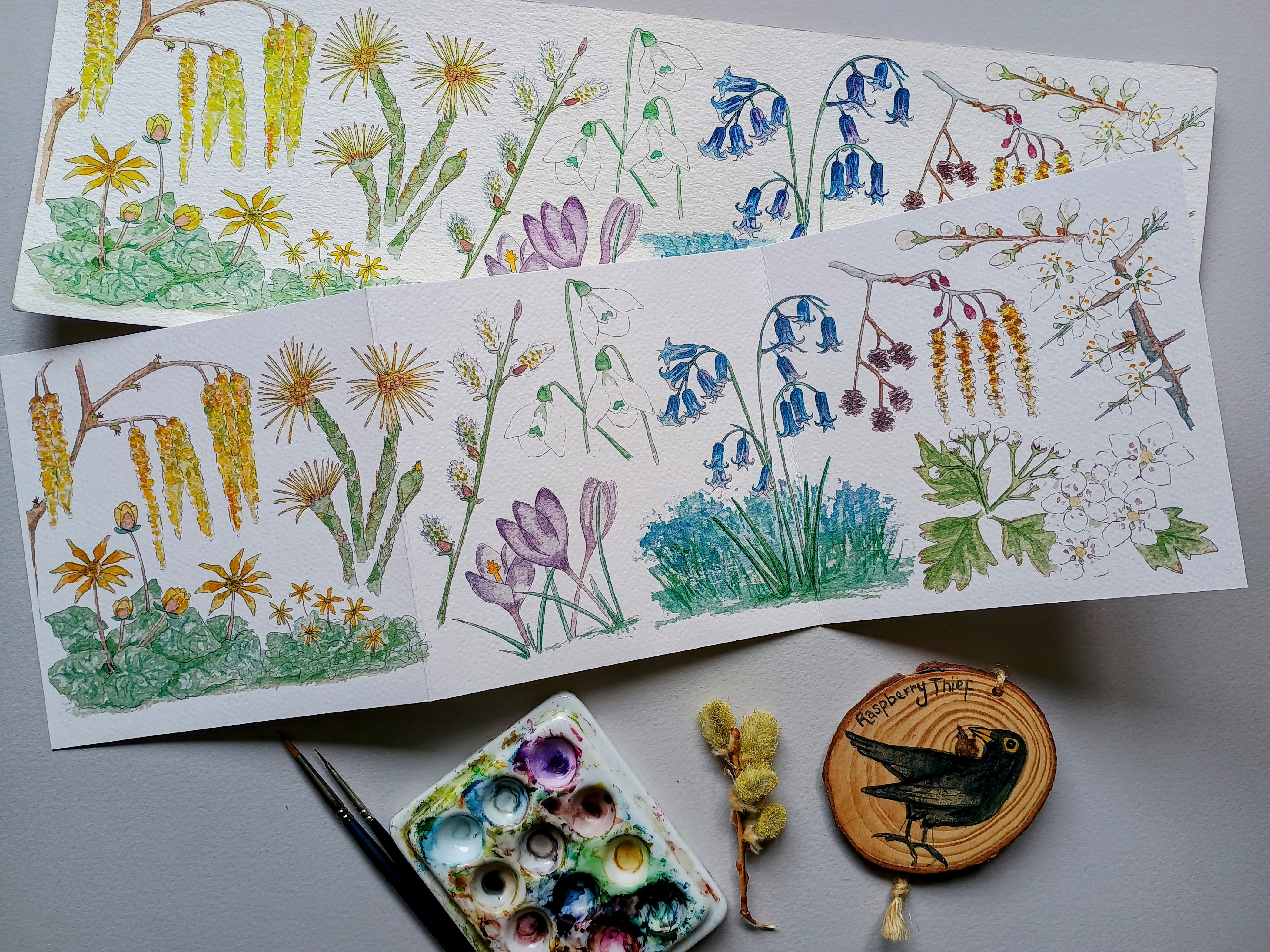 Spring Hope concertina card