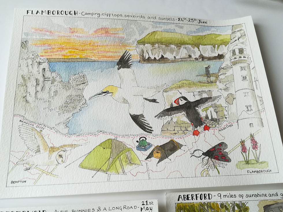 Bempton Cliffs Illustrated Map