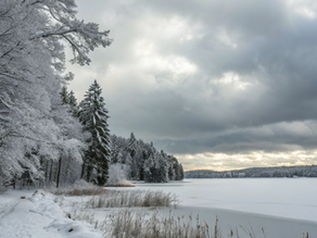 McKnightEnterprises.org