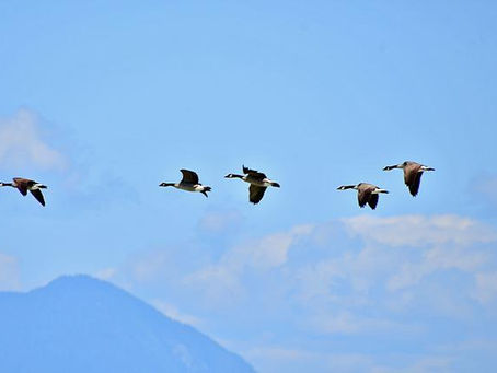 McKnightEnterprises.org