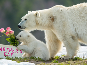 Mother’s Day