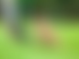 Obedience is Better Than Sacrifice