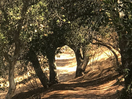 Healing at Retreat