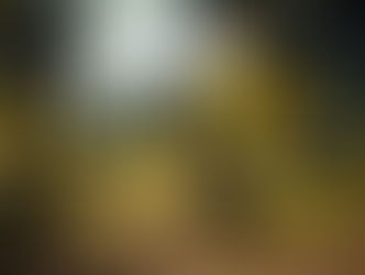 Take a Kid Mountain Biking