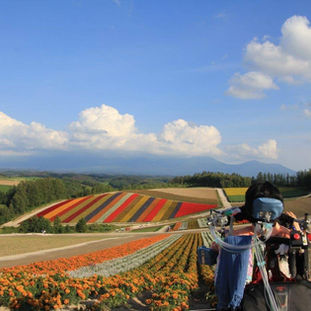 存在
