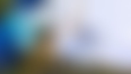 bluey and bingo cutout