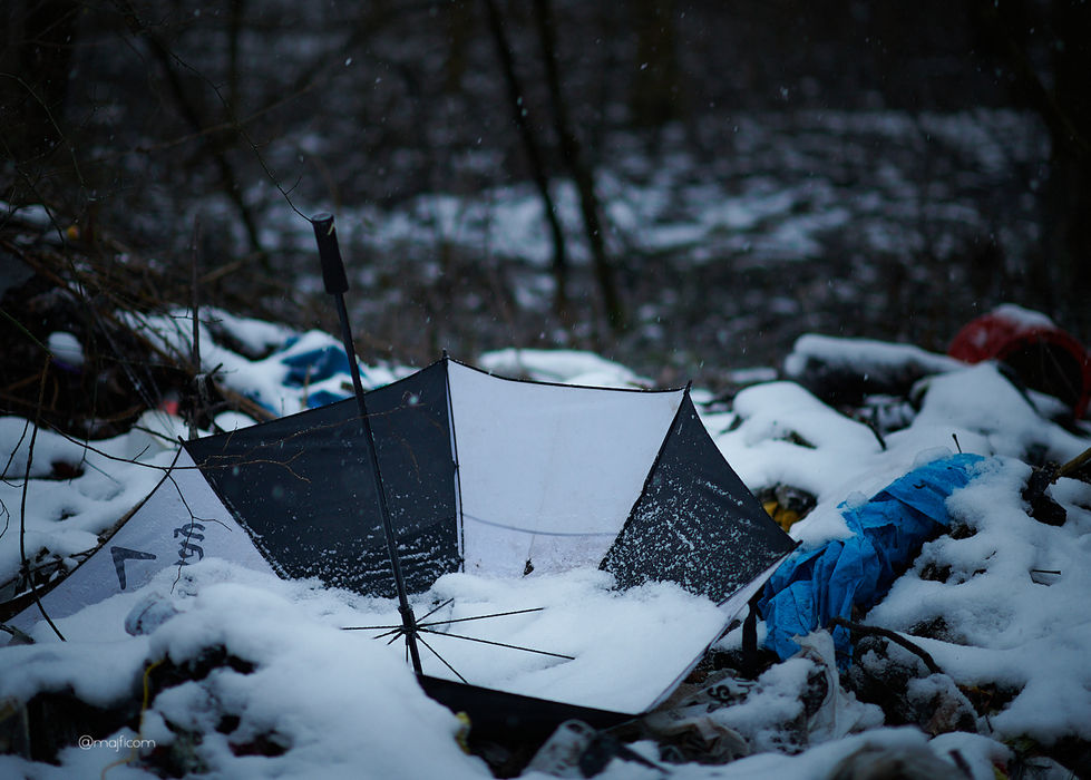 _DSC0028col by majfi