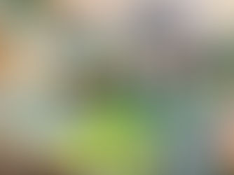 Douglas Zimmerman's 'SCREEM' series art, a rendition of 'The Scream' symbolizing the fragmentation and internal distress of the "Tragic Person."