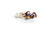 Miniatura: Anello Watersfall