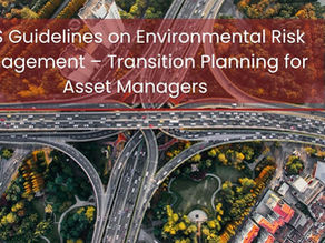 MAS Guidelines on Environmental Risk Management – Transition Planning for Asset Managers