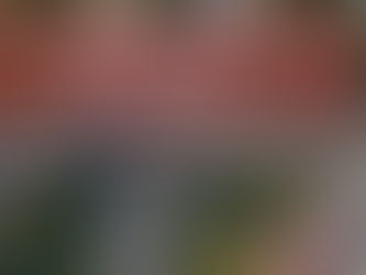 MAS Guidelines on Environmental Risk Management – Transition Planning for Asset Managers