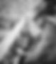 19c4f628-34d0-4de0-aa46-af019616c3aa_edited_edited_edited.jpg