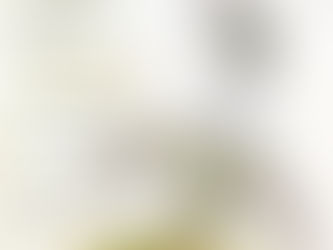 #carisimodeparis, marketing del lujo aspiracional