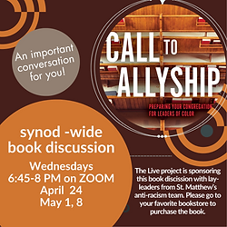 Call to Allyship (synod).png