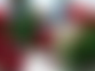 Enfeites de natal com um papai Noel de calção