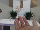 Santíssimo no altar