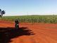 uma moto numa estrada de fazenda