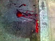 SANGUE DERRAMADO.... Vingar ou perdoar ?