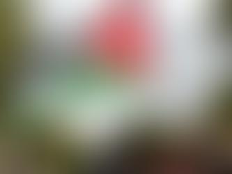 Canada, UK, and Australia Officially Recognize Palestine