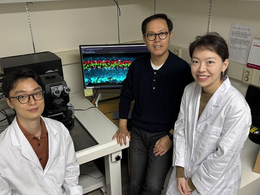 KAIST Develops World’s First Vision-Restoring Drug