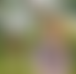 Book Review: Anne of Green Gables