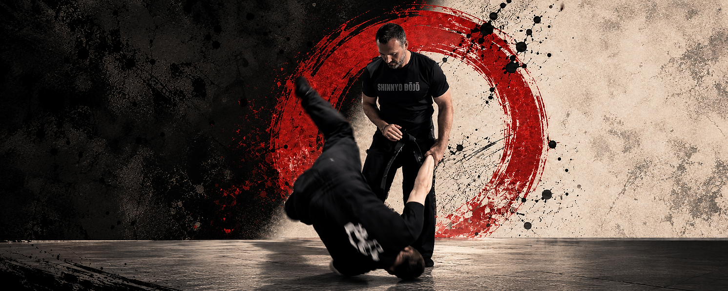 shinnyo_dojo_header.png