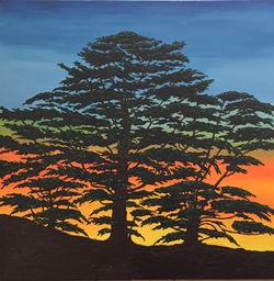Cedars at Sunrise