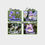 Thumbnail: Pick a 4 Pack of Penstemon seed
