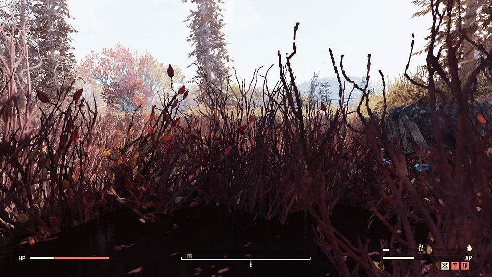 Where to find and how to farm for Cranberries in Fallout 76