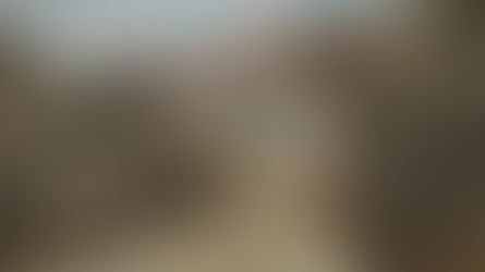 Burning Springs: Gearin' Up Event Guide