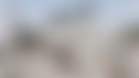 Camp Resource: Radstag Field Dressing Station