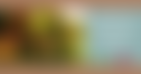 Where to find Honeybeasts and how to farm for Honeycomb in Fallout 76