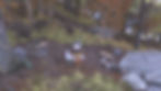 ree