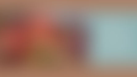 How to change your pet variant in Fallout 76