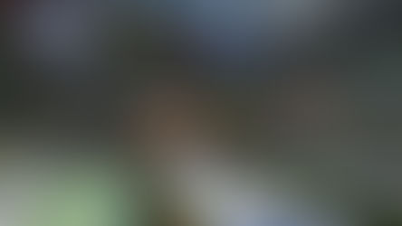 Camp Resource: Budding Apothecary Collector