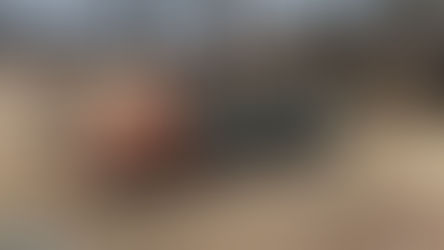 Burning Springs: Abraxodyne Intel Briefcase Rewards and Checklist