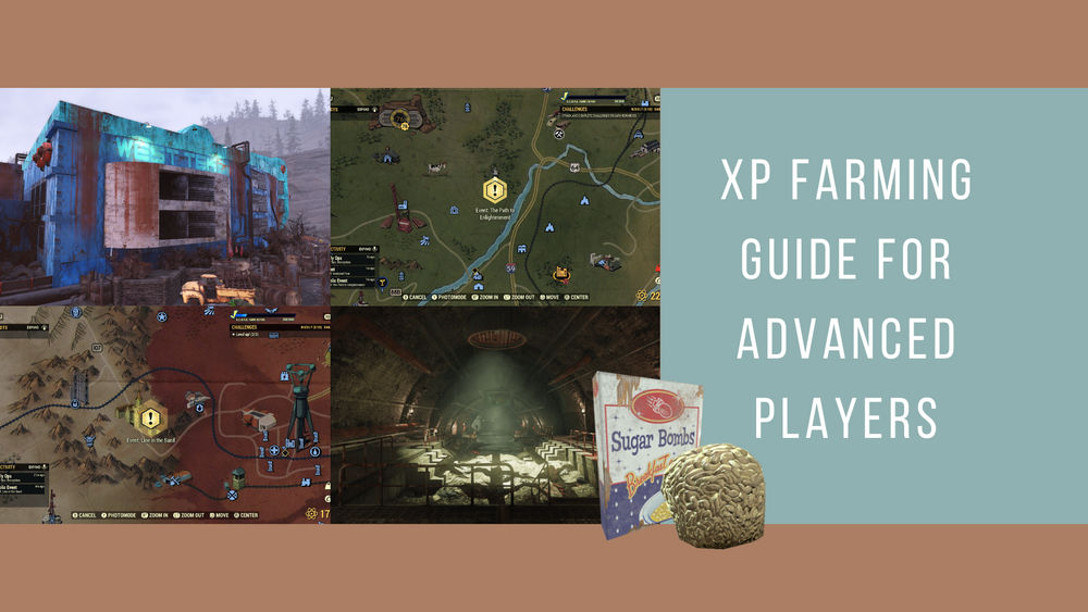 XP Farming Guide for Advanced Players