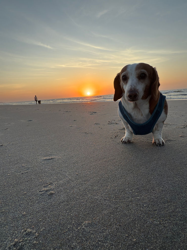 Ginnie loves and early morning walk on the beach, I think she does anyway. This campground is in Myrtle Beach, SC