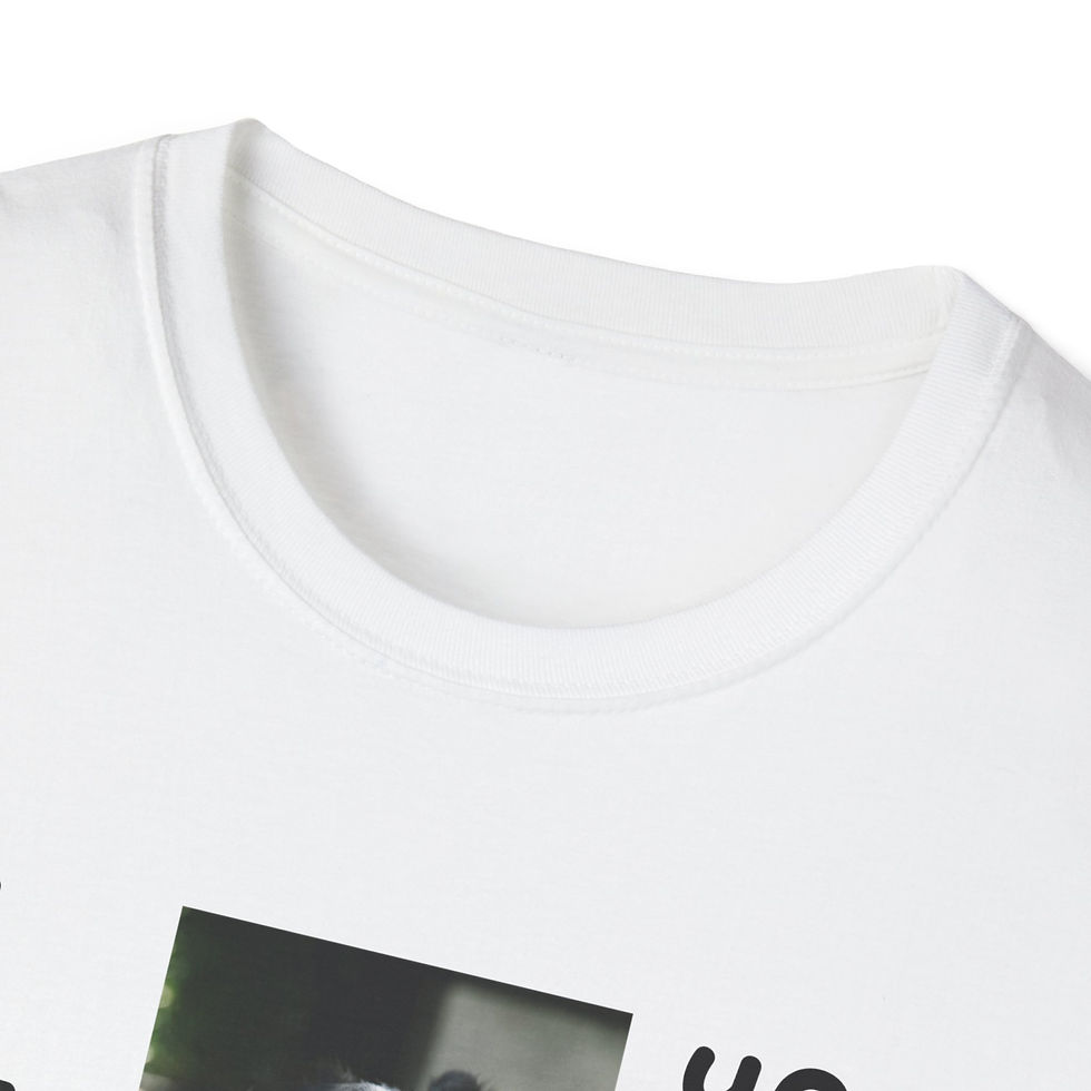 Thumbnail: Border Collie Unisex T - I need a walk- Funny, Trendy Dog inspired Casual wear
