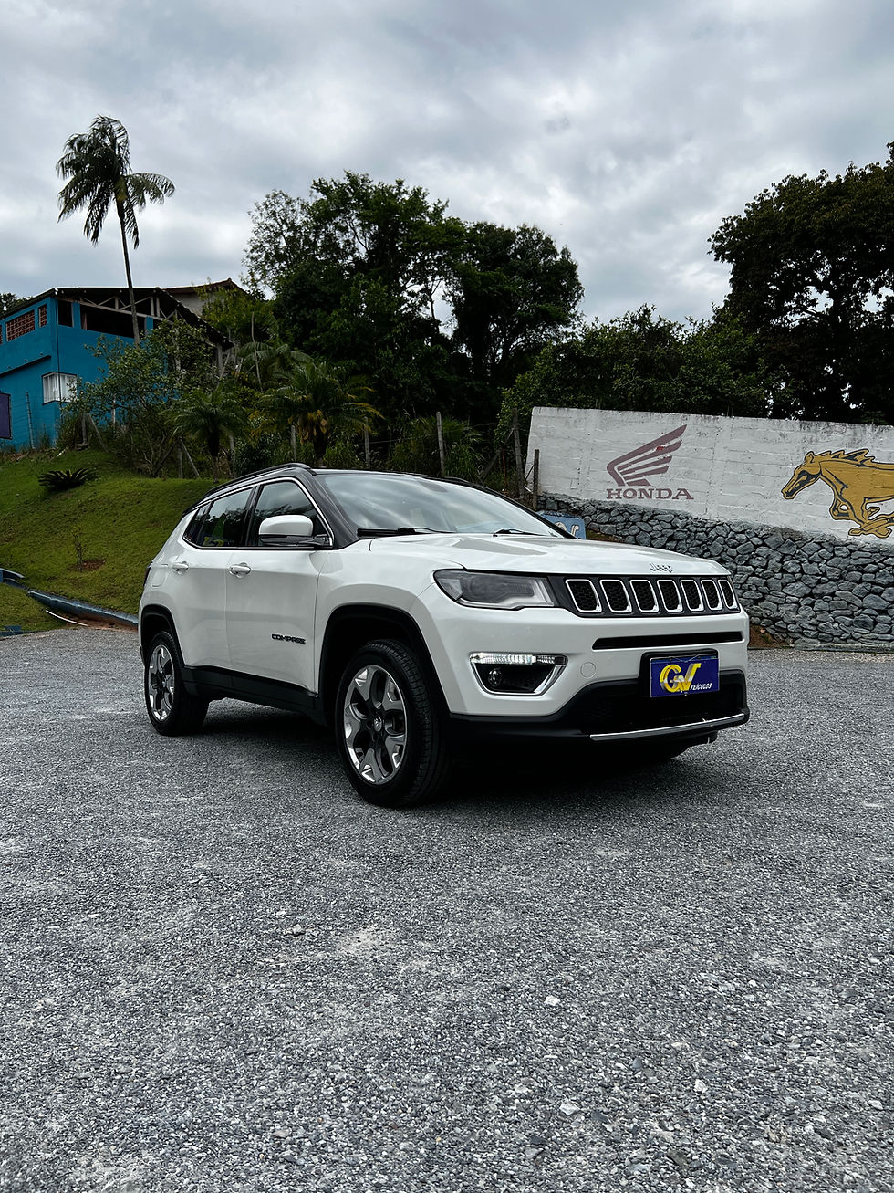 Miniatura: COMPASS LIMITED