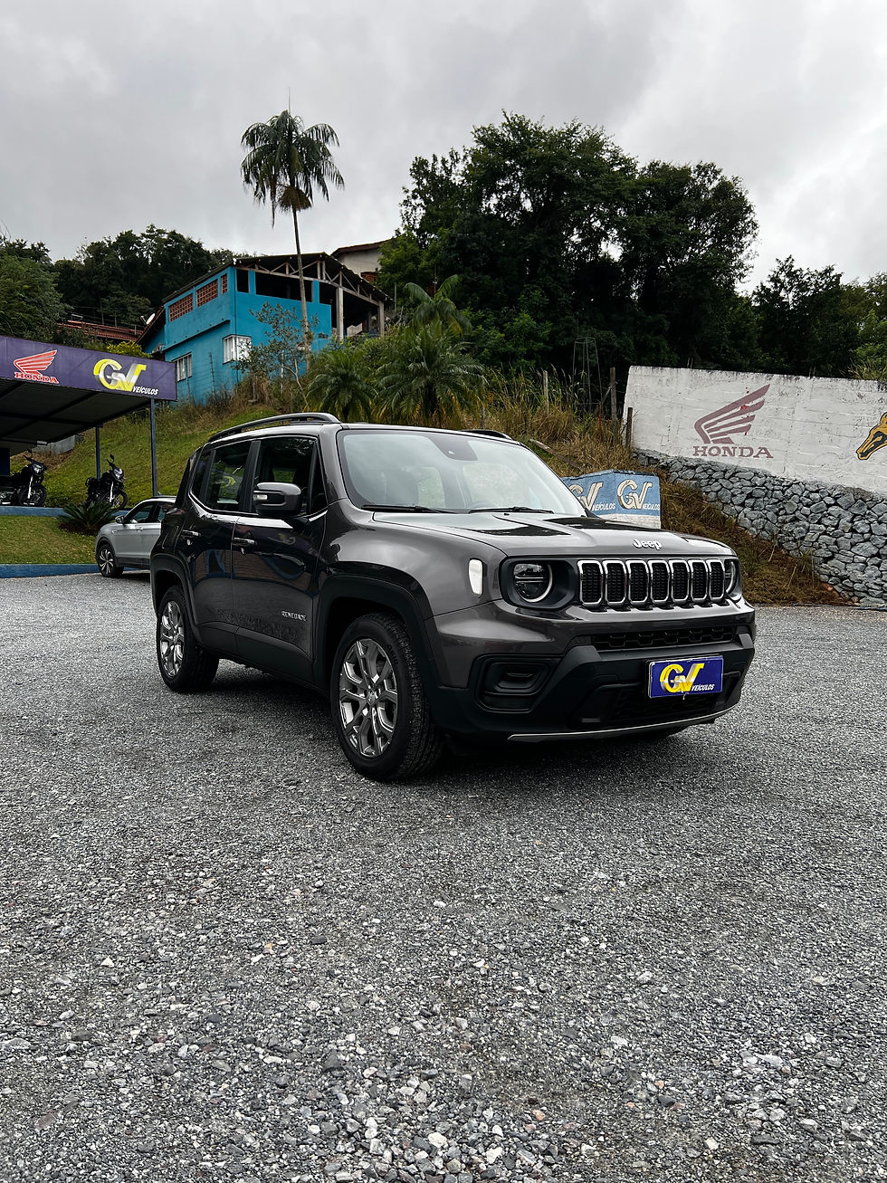 Miniatura: RENEGADE LONG 1.3 TURBO