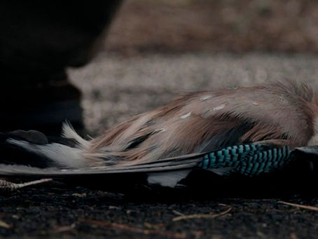 Recapitulando "Dark" T1/E03-04