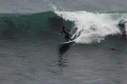 IMG_0772.jpeg