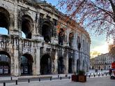IMG_1309.jpeg
