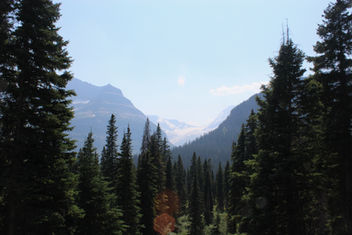 IMG_0277.jpeg