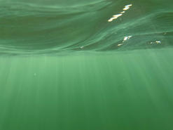 IMG_6820.jpeg