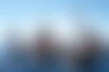 Status Update #11 November