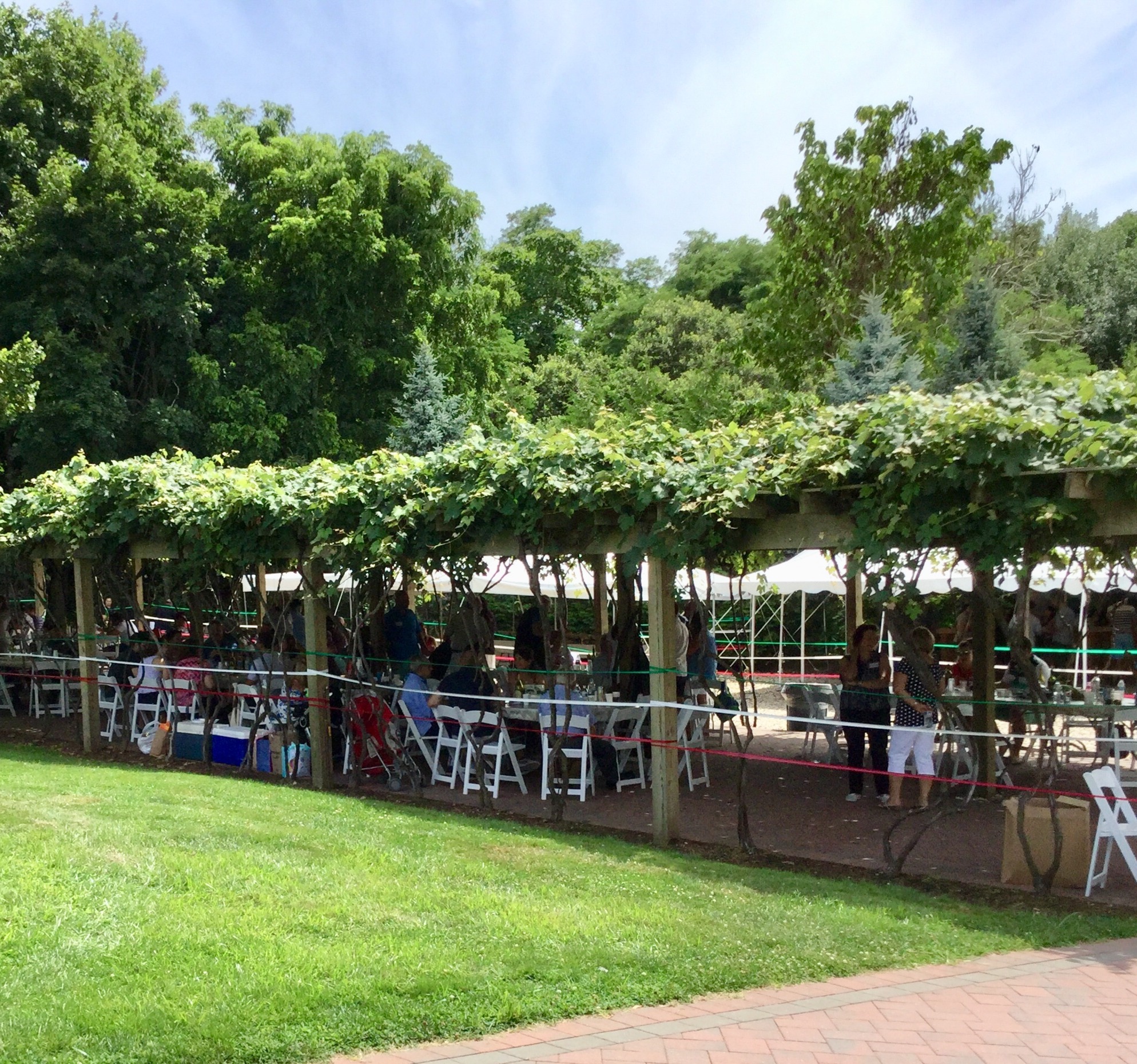 2020 Picnic at Pugliese Winery