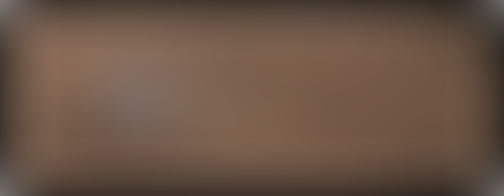 WHITE DOG – SAM FULLER